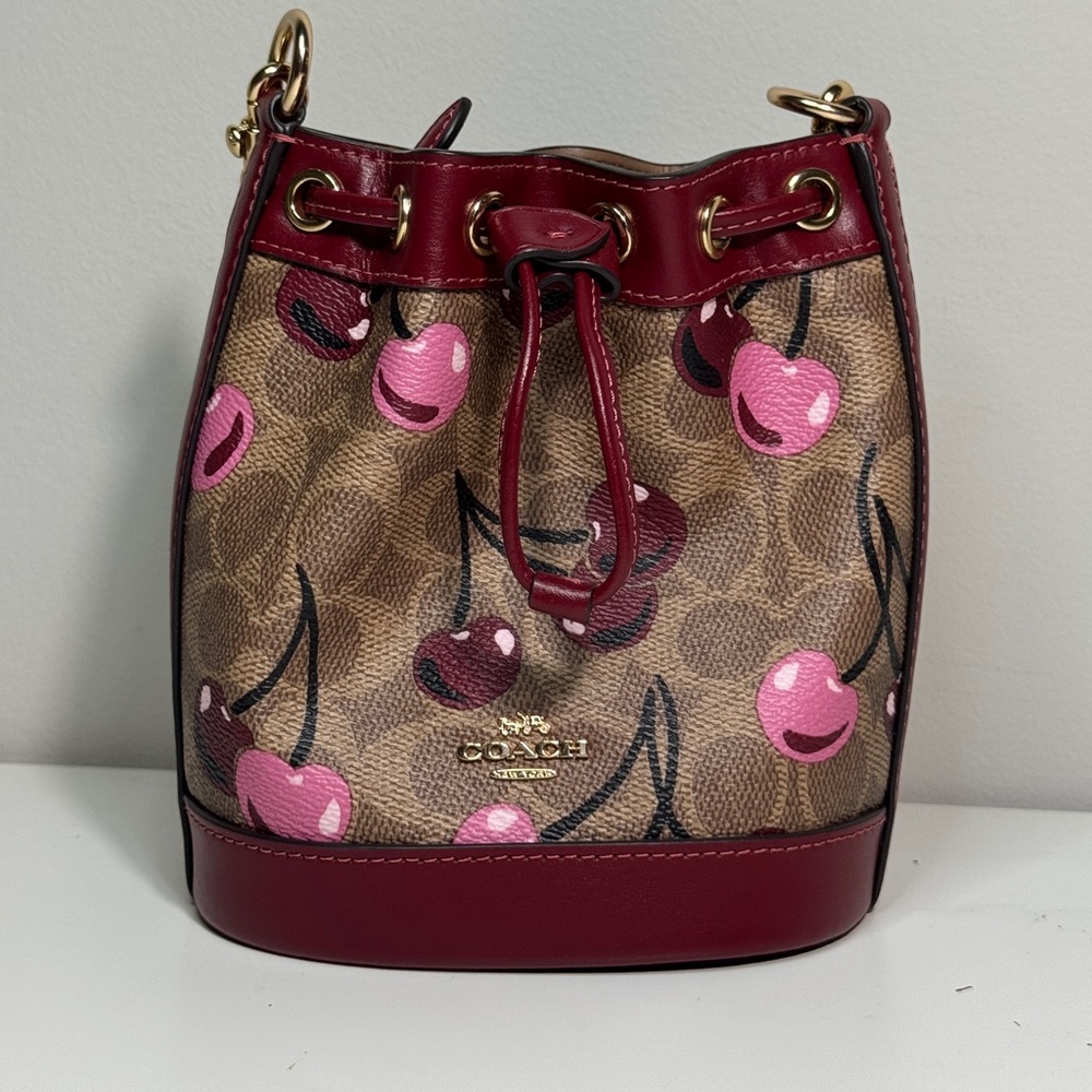 Coach Cherry Print Crossbody Bag - Red and Brown - Picture 2 of 7